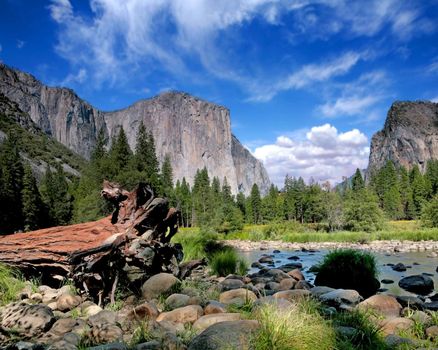 El Capitan View in Yosemite Nation Park on a Beautiful Sunny Day