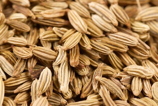 Closeup take of fennel seeds, food background