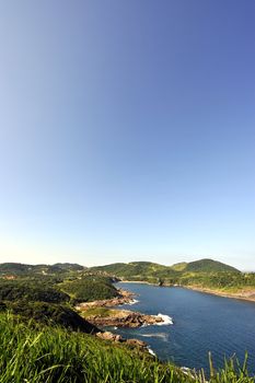 Beach in Buzioss, Brazil
