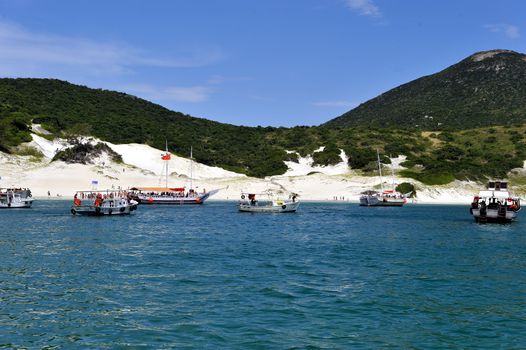 Beach in Buzioss, Brazil
