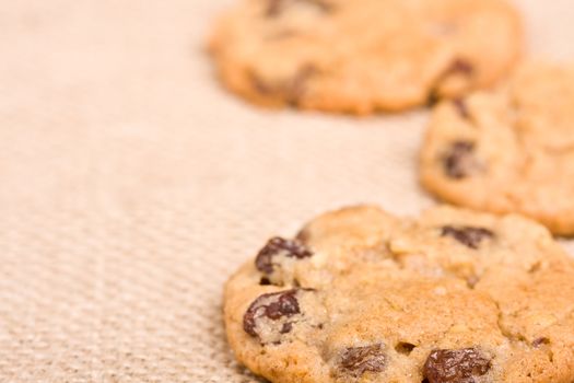 oatmeal raisin cookies on a burlap background macro fresh out of the oven