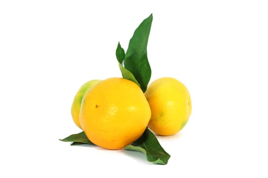 Fresh ripe mandarins with leaves isolated on white