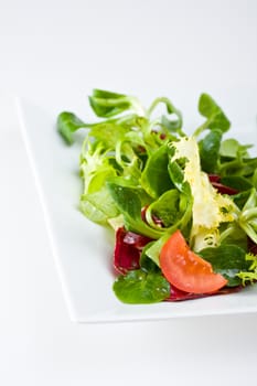 detail of a mixed salad on a white plate