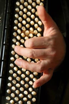 musician hand playing accordion closeup in dramatic shadows