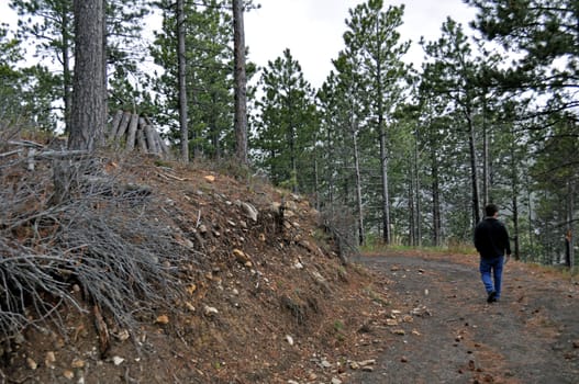 Man walking trail in the Black Hills