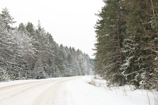 country road in snow