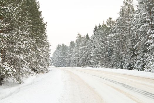 country road in snow