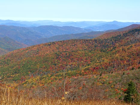 View along the Art Loeb trail in western North Carolina