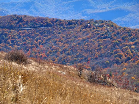 View along the Art Loeb trail in western North Carolina