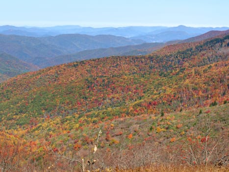 View along the Art Loeb trail in western North Carolina