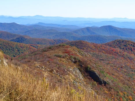 View along the Art Loeb trail in western North Carolina