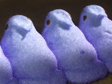 Close up of the easter candy peeps.