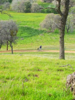 Biker in a park on a sunny day.