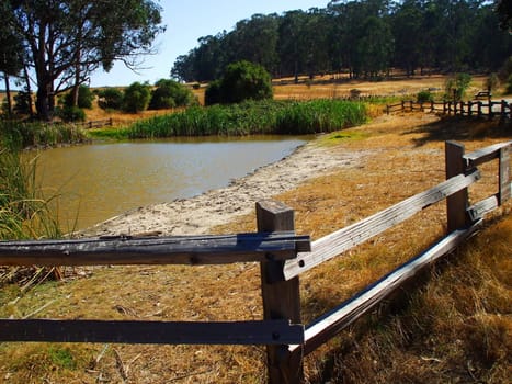 River in a park on a sunny day.