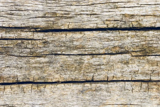 Old wooden background closeup with natural patterns