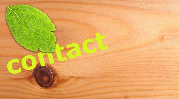 contact us concept with word on nature still life
