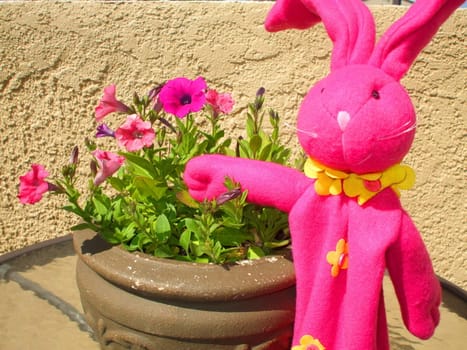 Close up of a pink bunny next to pink petunia flowers.