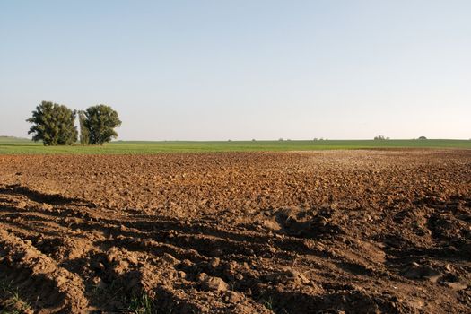 Agricultural field with brown soil, clear blue sky