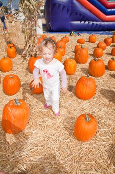 Cute little European toddler girl having fun on pumpkin patch.