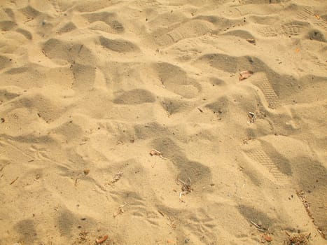 Close up of a sand on a beach.