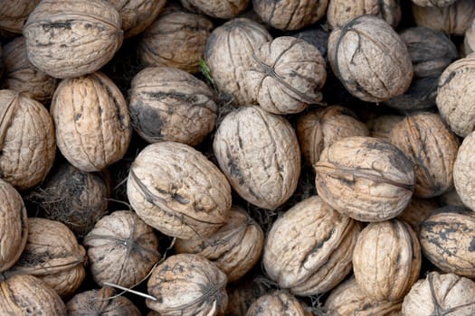 Whole walnuts in a pile