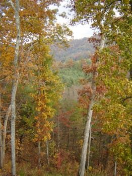 North Carolina in the Fall