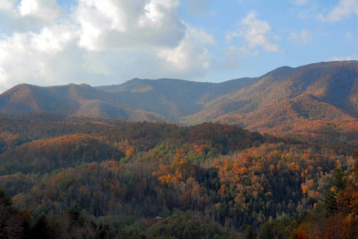 North Carolina in the Fall