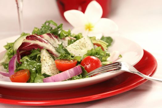 Healthy Salad on a Plate With Focus on Tomatoes and Cucumbers