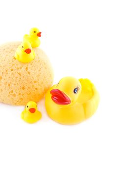 Sponge and rubber ducks on white background