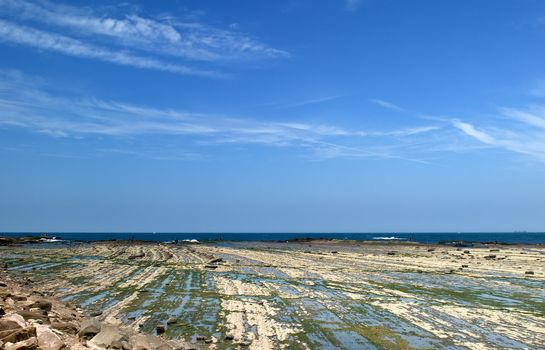 It is green rock seaweed land and blue sky.