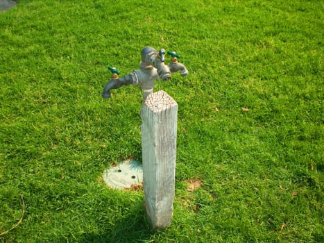 Drinking fountains on a sidewalk in a park.