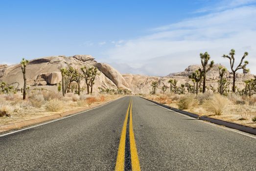 a road through the joshua tree national park, california