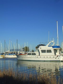 Big new marina on a sunny day.