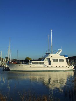 Big new marina on a sunny day.