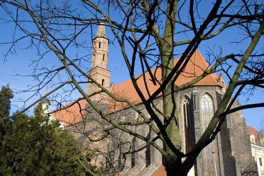 Wroclaw city, Poland - gothic style church with tree on the first plan.