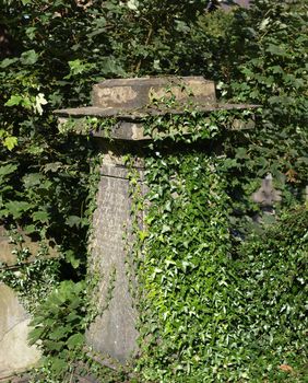 A gothic tomb in an ancient churchyard