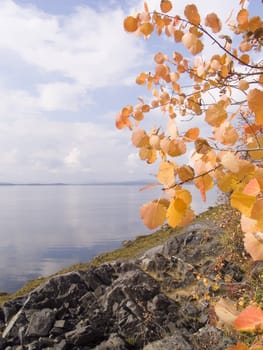 Photo of a sea landscape in the autumn