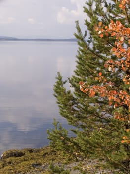 Photo of the sea from stony coast