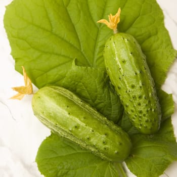 Photo of two cucumbers lying on leaves
