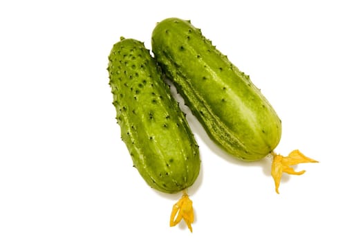 Photo of two cucumbers lying on leaves