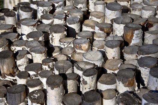 Sawn birch logs. Bundle of firewood and campfire. Close-up. Focus on the center of the frame.