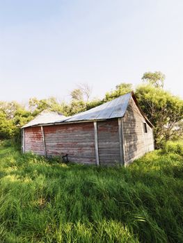 Abandoned wooden barn in state of disrepair in lush field.