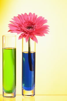 Vases with multi-coloured water on yellow background