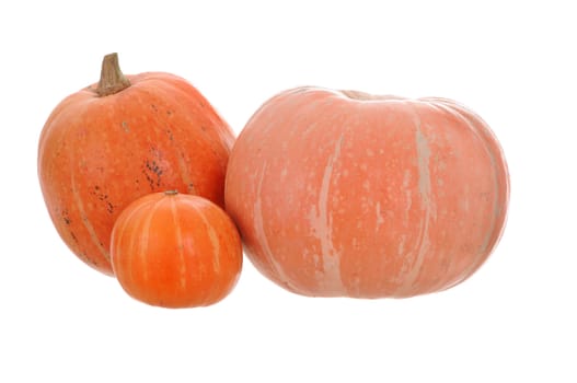 orange pumpkin isolated on white background