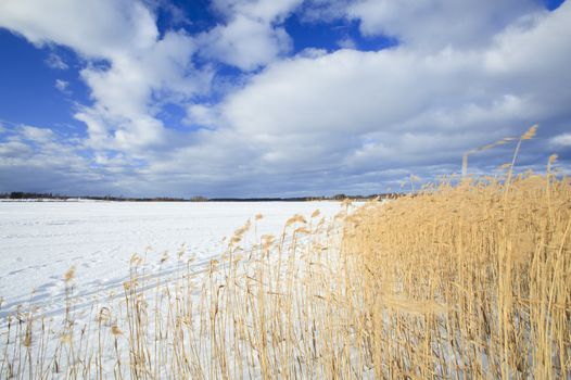 winter landscape from lake (shoddot in Finland)