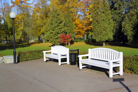 two benches in autump park