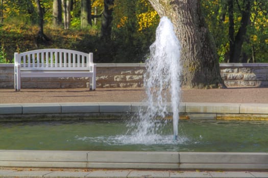 in the park with bench and fountain