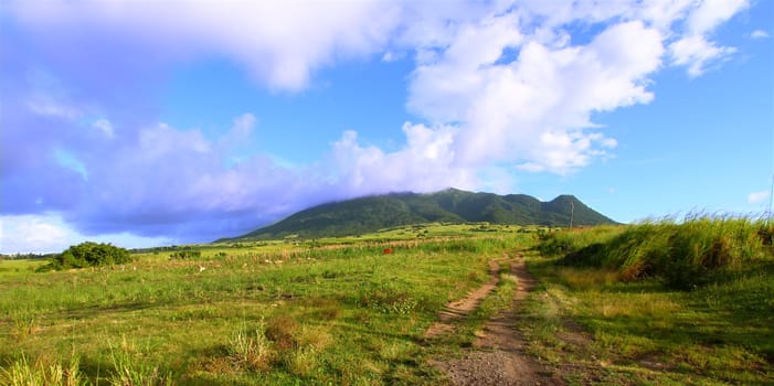 View of Mount Liamuiga from the sugar cane fields of Saint Kitts.