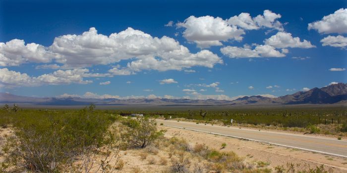The dry landscape of the Mojave National Preserve in California.