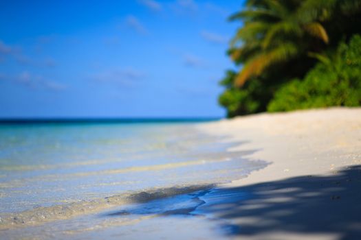 Tropical Paradise at Maldives with palms and blue sky